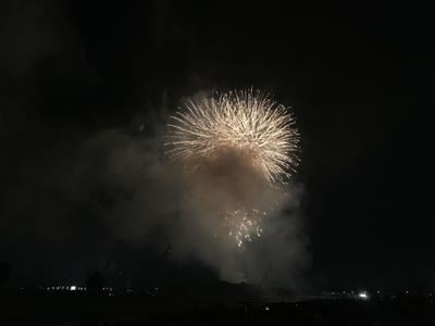 IMG_8481.jpg